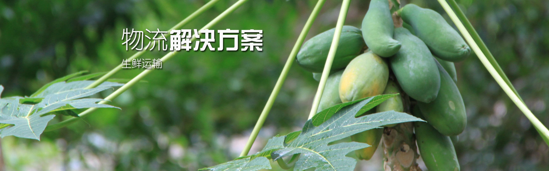 广告标题